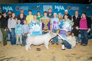 Upperhand Winners